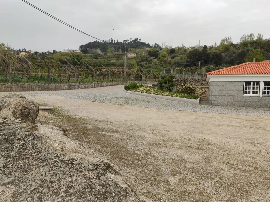 Terreno com casinha e vista para o rio Douro, em S. Tomé de Covelas, Baião para projeto agrícola - Image 45