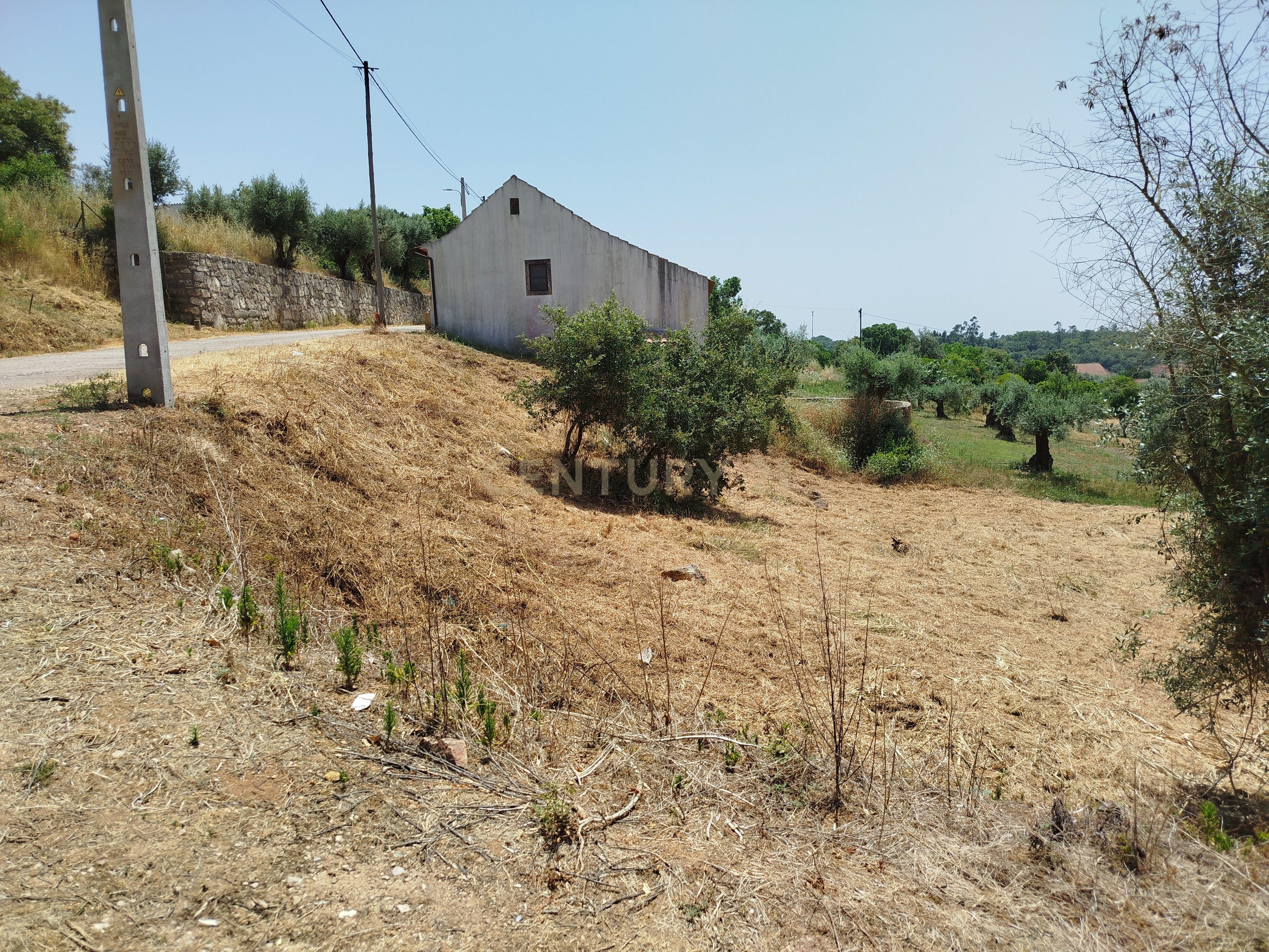 Fotografia 7 de Terreno para Construção em Areias e Pias, Ferreira do Zêzere