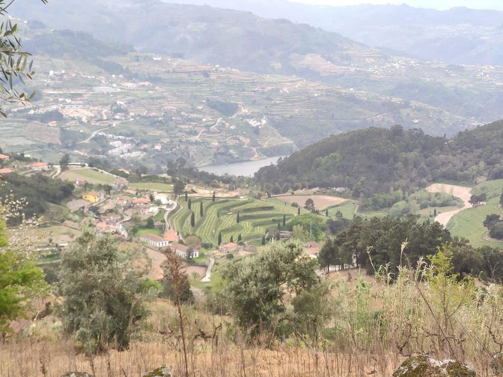 Terreno com casinha e vista para o rio Douro, em S. Tomé de Covelas, Baião para projeto agrícola - Image 42