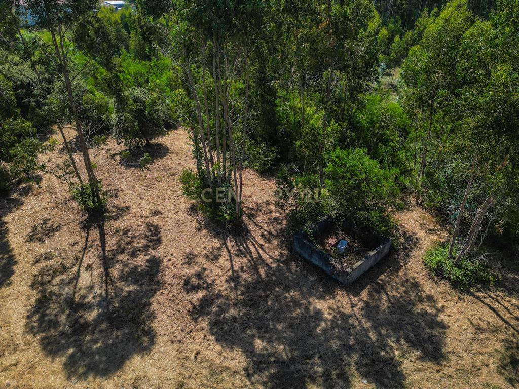 Terreno para investimento em Lavos, Figueira da Foz apenas a 5km da praia - Image 17