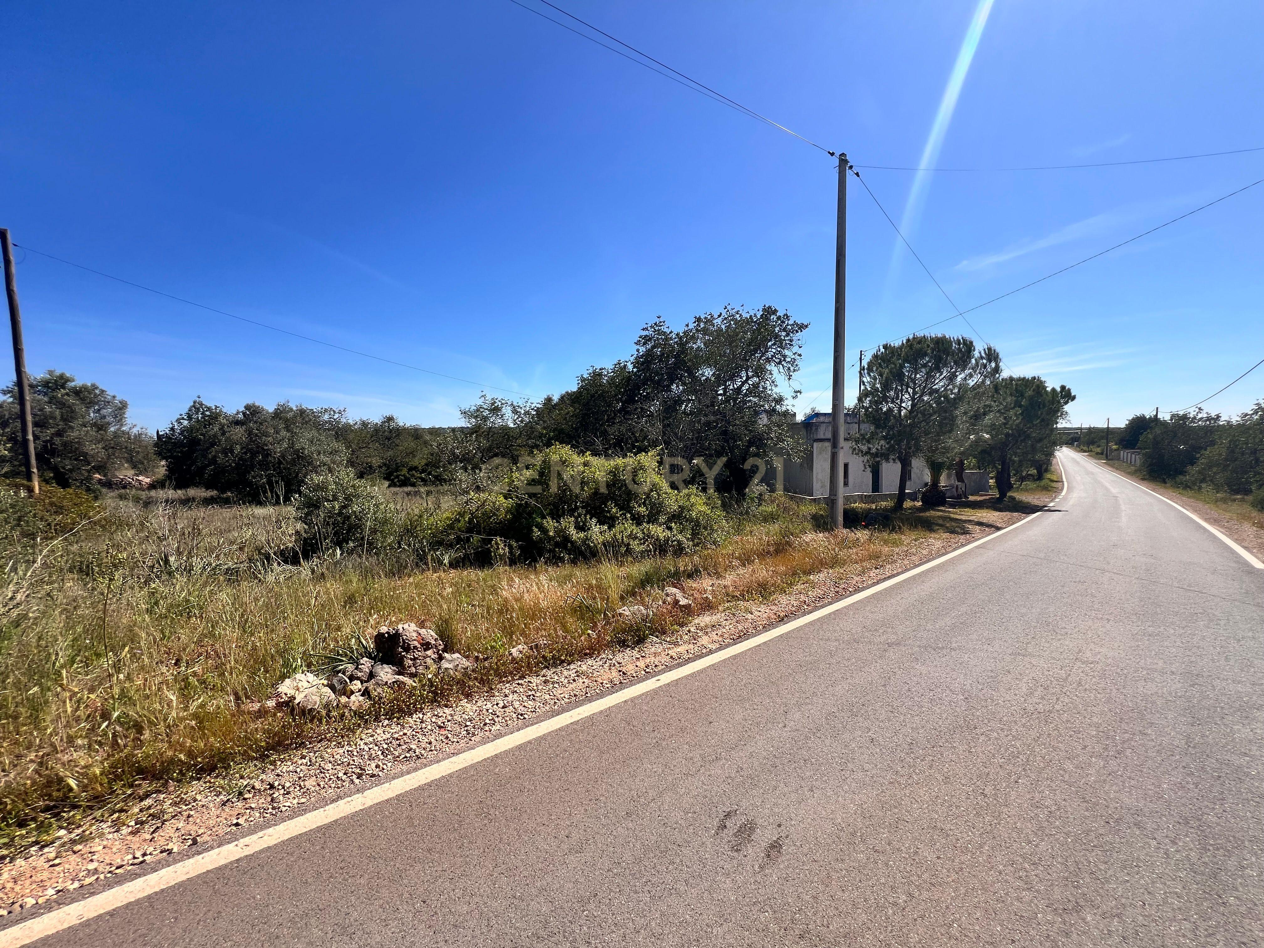 Fotografia 6 de Terreno rústico com 5.840m2 entre São Bartolome de Messines e Paderne