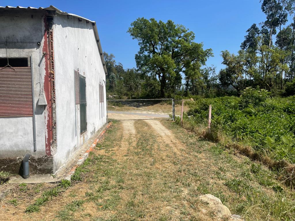 Terreno de 7.500 m² situado próximo ao lago, contendo uma casa a ser restaurada e um aviário automatizado altamente rentável. - Image 32