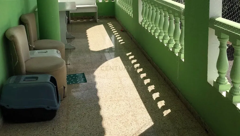 Geräumiges Haus mit privater Dachterrasse und 830 m² Grundstück in El Salobre – San Bartolomé de Tir - Image 47