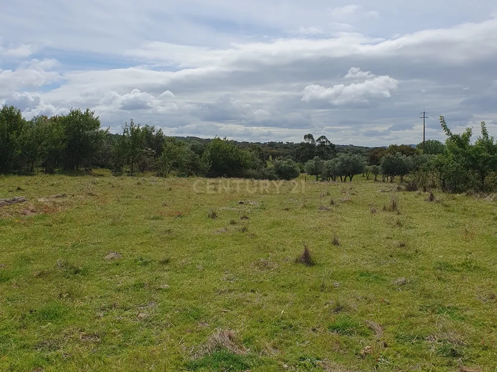 Terreno Urbano na Serra D`Ossa Redondo - Image 9