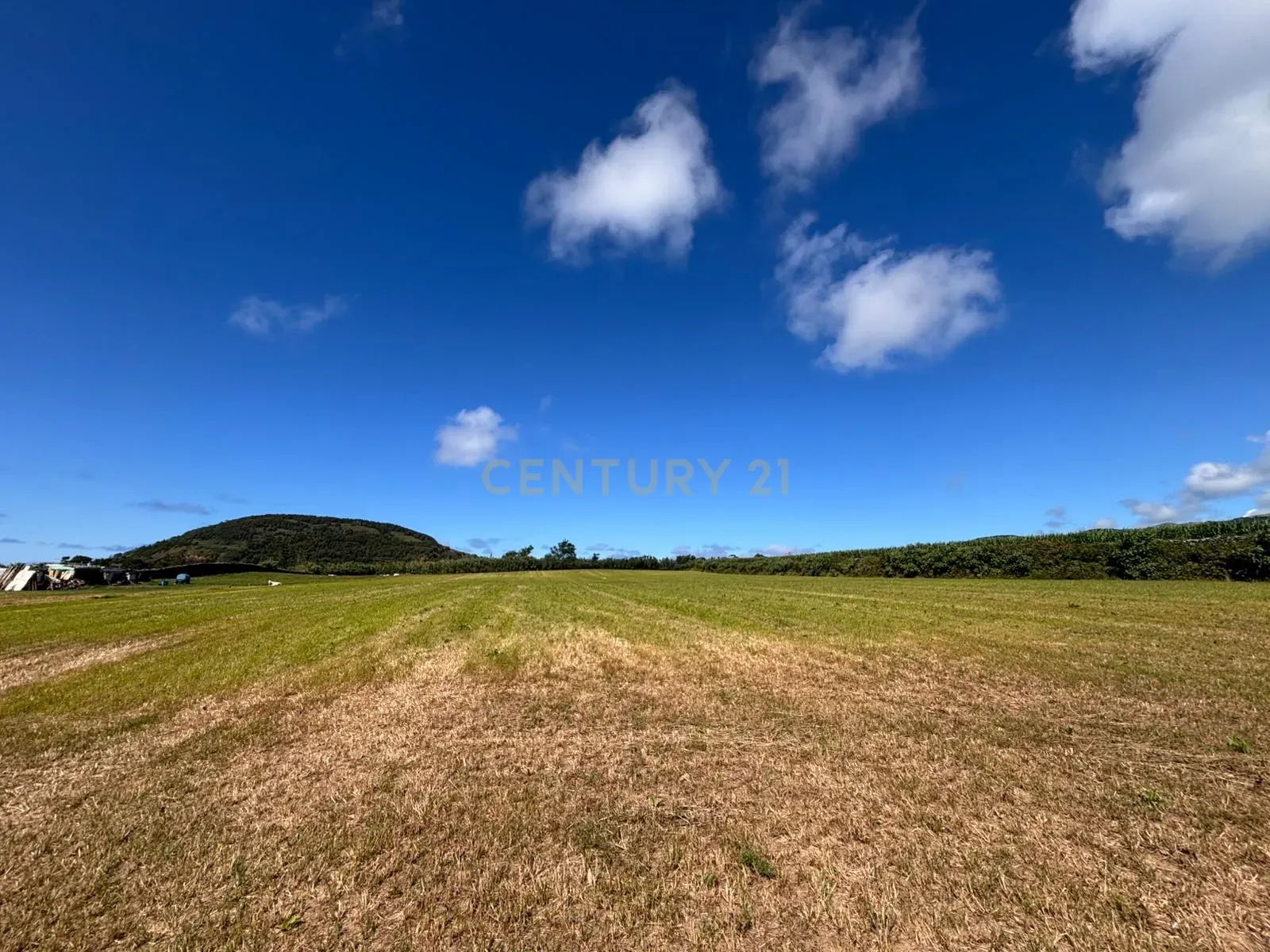 Fotografia 6 de Terreno Rústico com 15.580 m² em Ribeira Grande