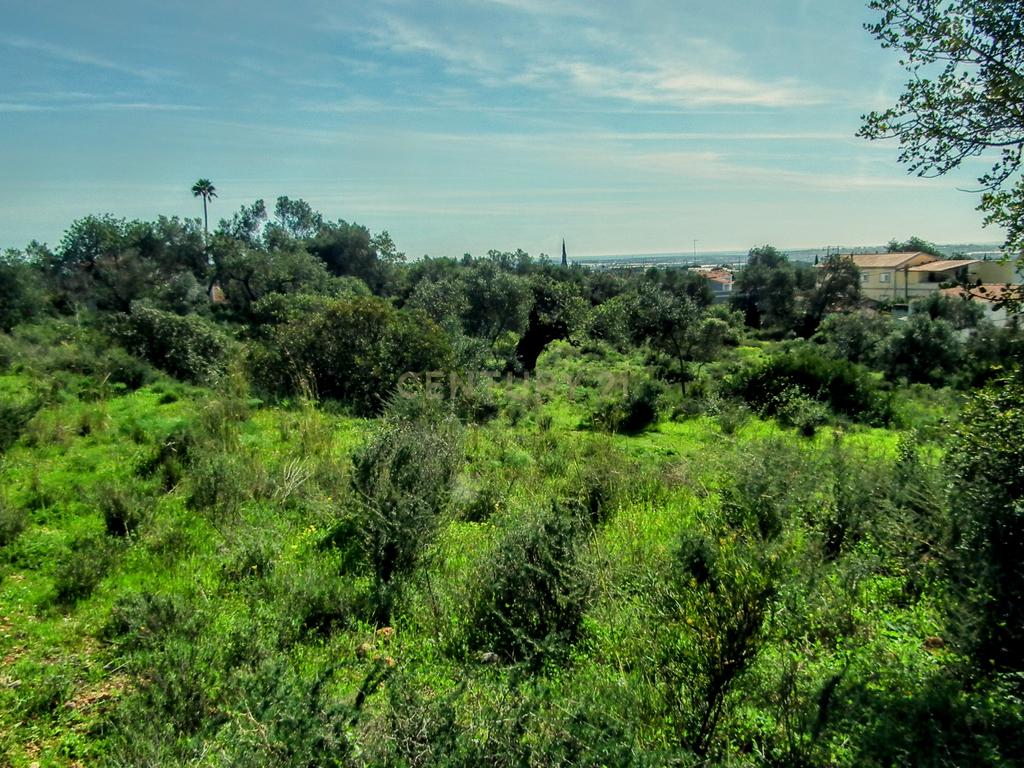 Terreno Rústico em Faro com Vista Panorâmica e Acesso Fácil - Image 21