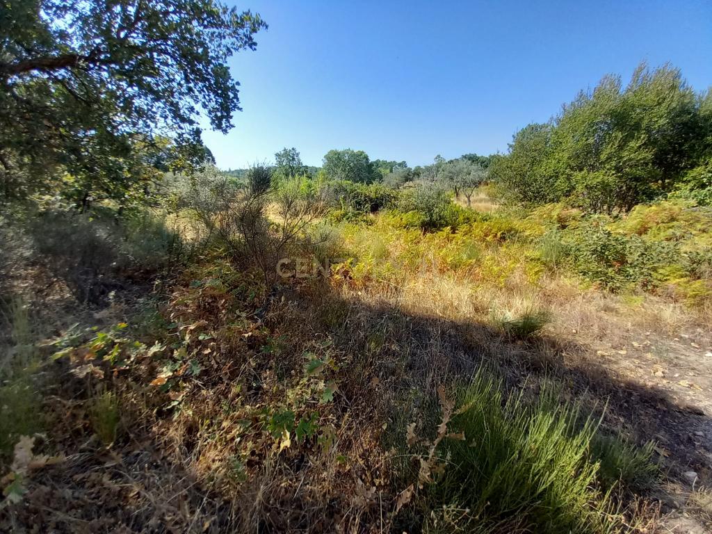 Terreno com 2180m2 , São Vicente da Beira, Castelo Branco - Image 8