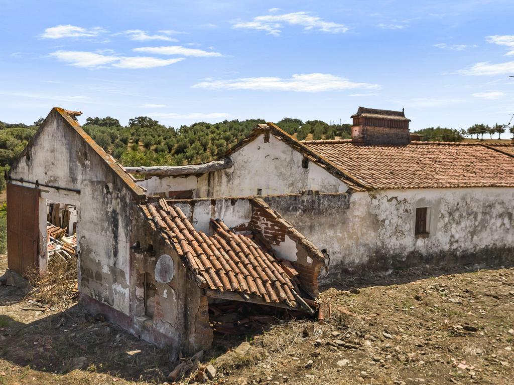HERDADE COM 5,9 HECTARES, MORADIA E CAVALARIÇA | SANTIAGO DO ESCOURAL - Image 5