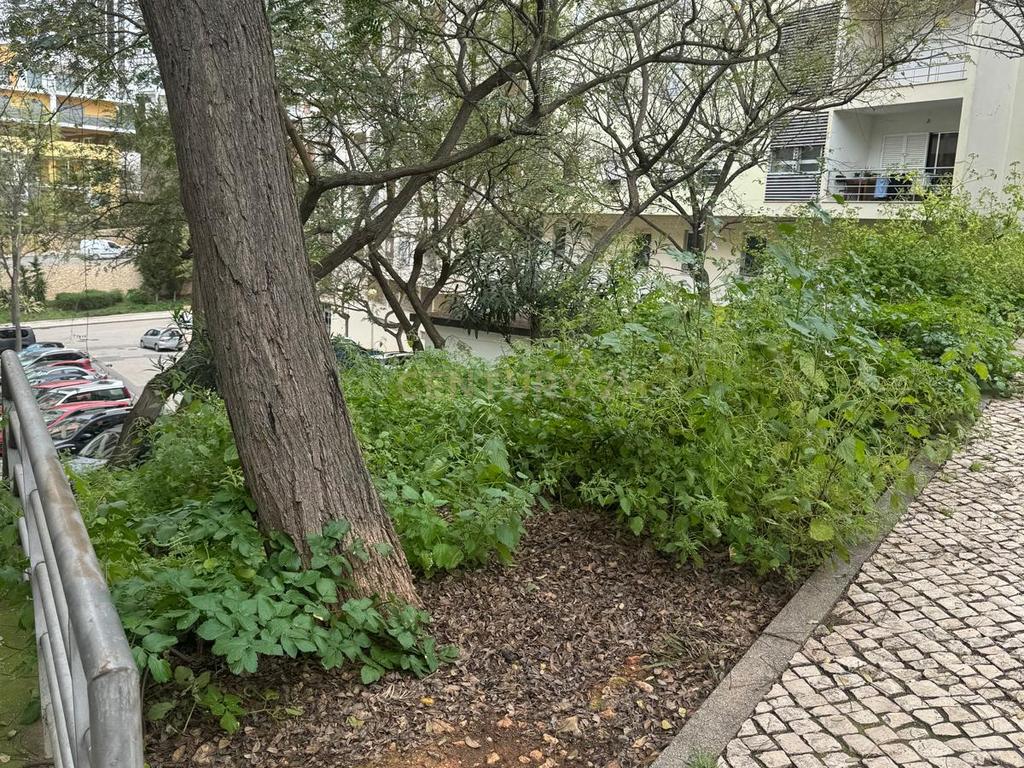 Apartamento T2 - Oportunidade Única a 5 Min da Praia da Rocha! - Image 86