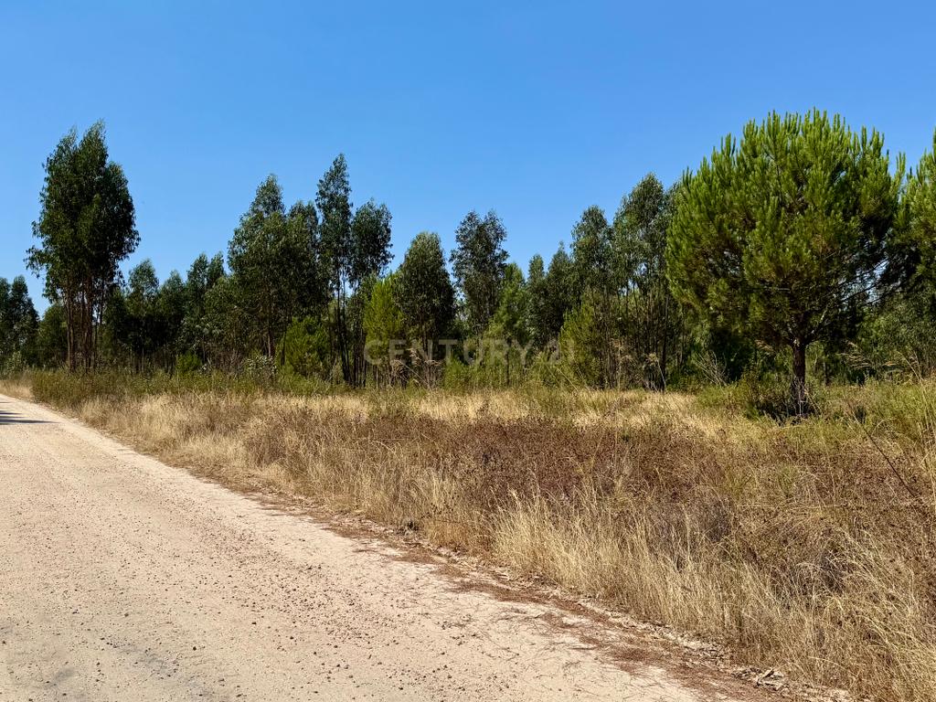 Terreno com 94.000 m2 na zona do Novo Aeroporto de Lisboa, Santo Estêvão, Benavente. Em venda! - Image 16