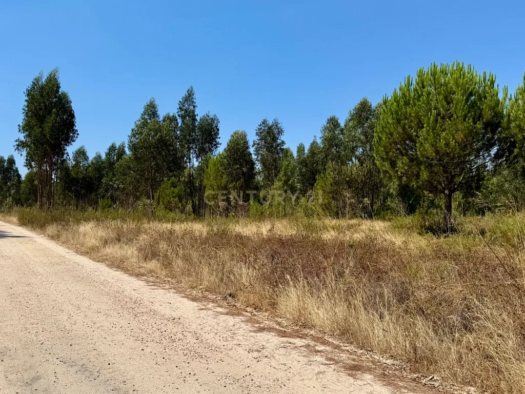Terreno com 94.000 m2 na zona do Novo Aeroporto de Lisboa, Santo Estêvão, Benavente. Em venda! - Image 16