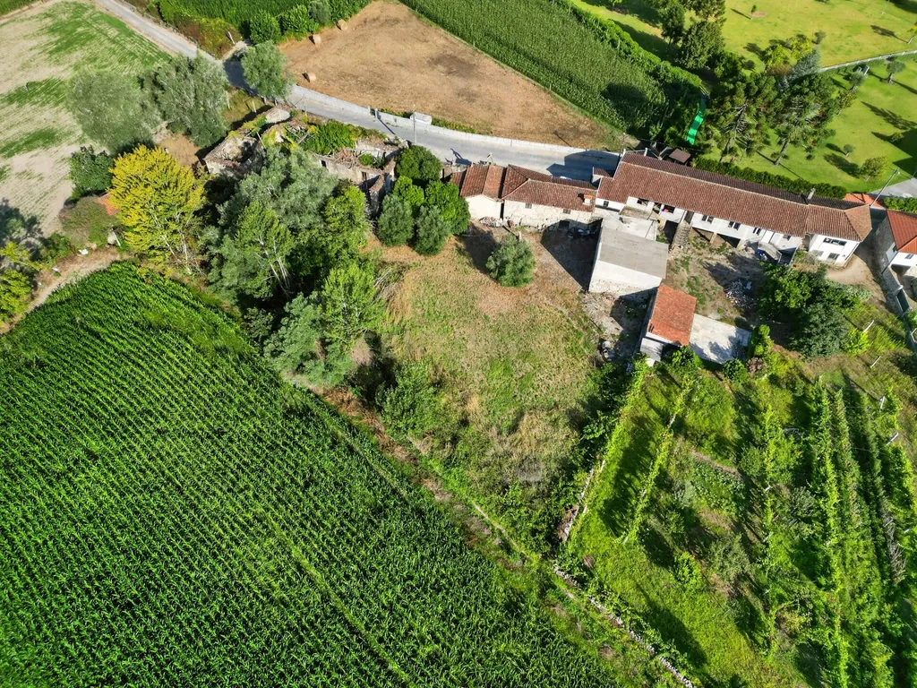 Quinta de Verim – 22.000 m² de história, natureza e potencial - Image 19
