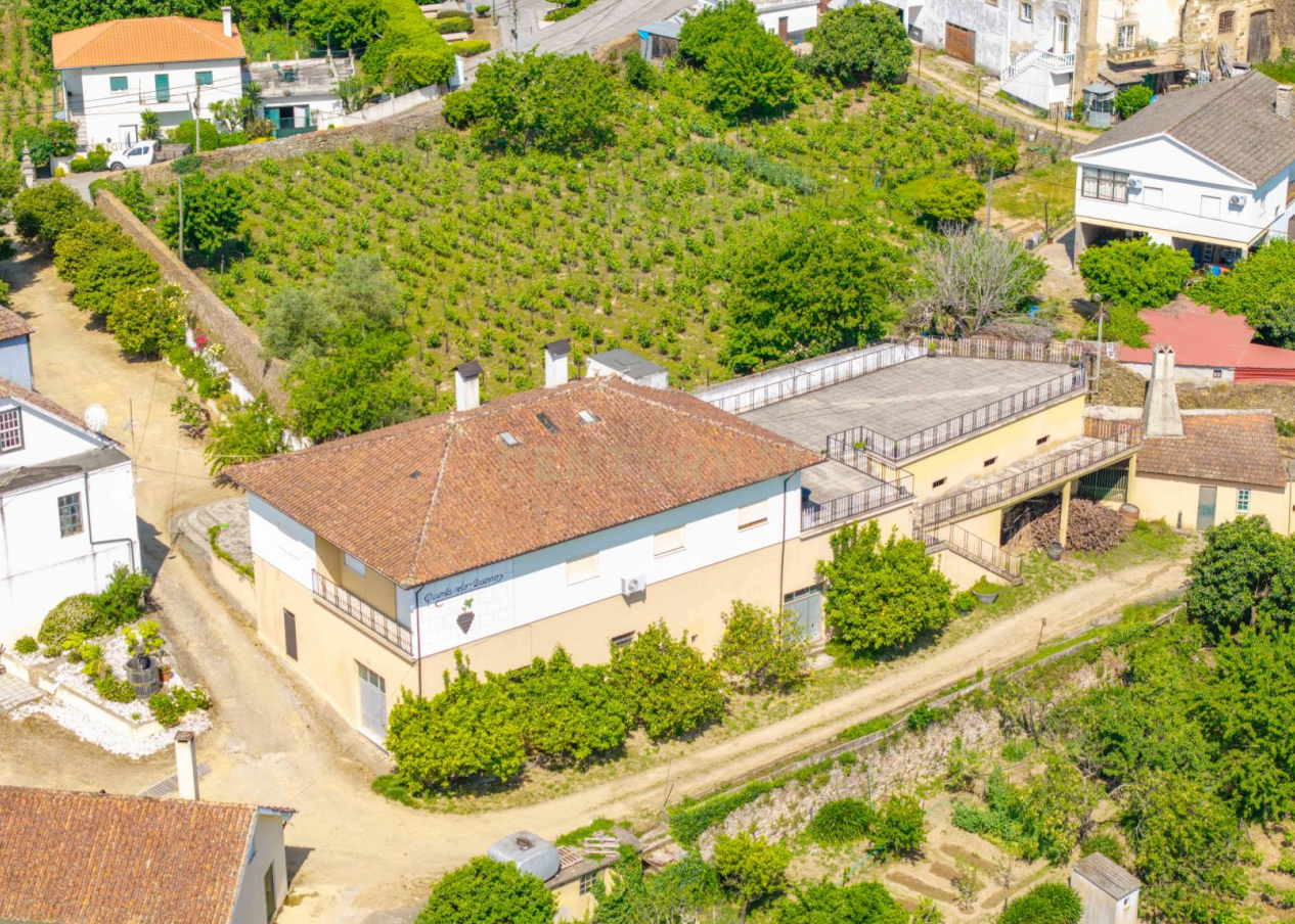 Fotografia 4 de Duas quintas com 30ha para venda em Santa Marta de Penaguião, propriedade exclusiva no Douro