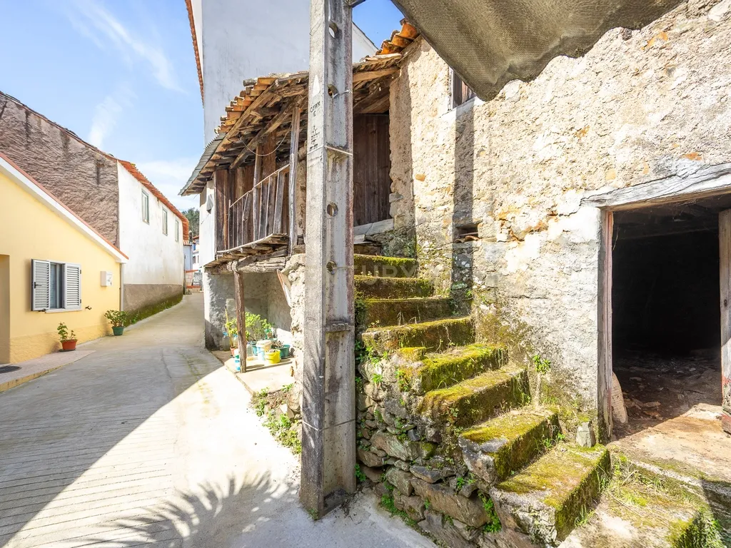 Moradias para Reconstruir em Ribas, Vila Nova de Poiares - Image 30