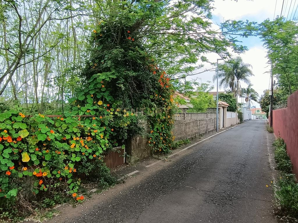 Terreno para construção em Guamasa - Image 11