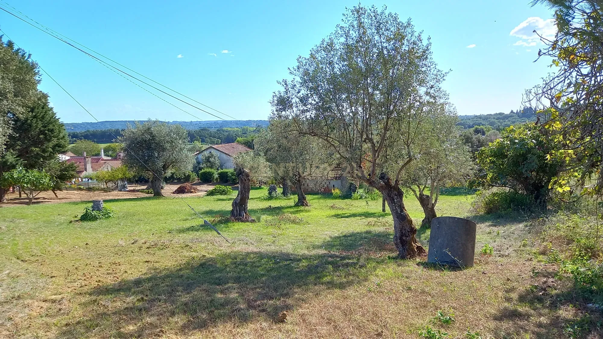 Fotografia 4 de Terreno em Madalena e Beselga | Tomar - Local Calmo e Iluminação Natural