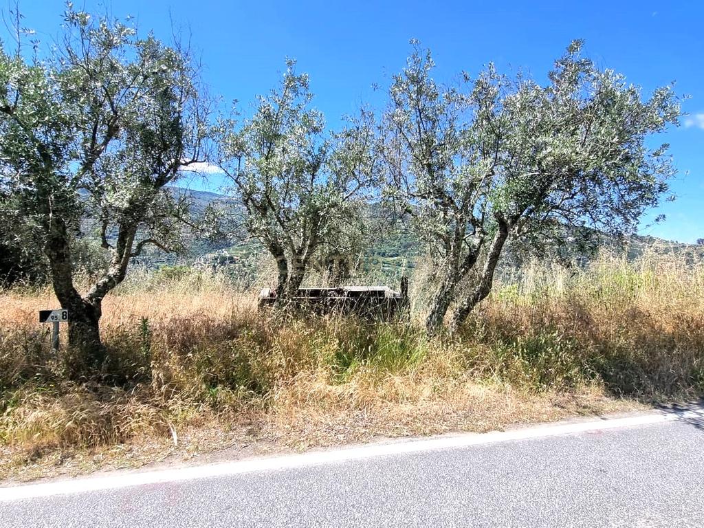 Moradia em ruina repleta de belas histórias, para reconstruir, no coração do Douro em Frende, Baião - Image 41