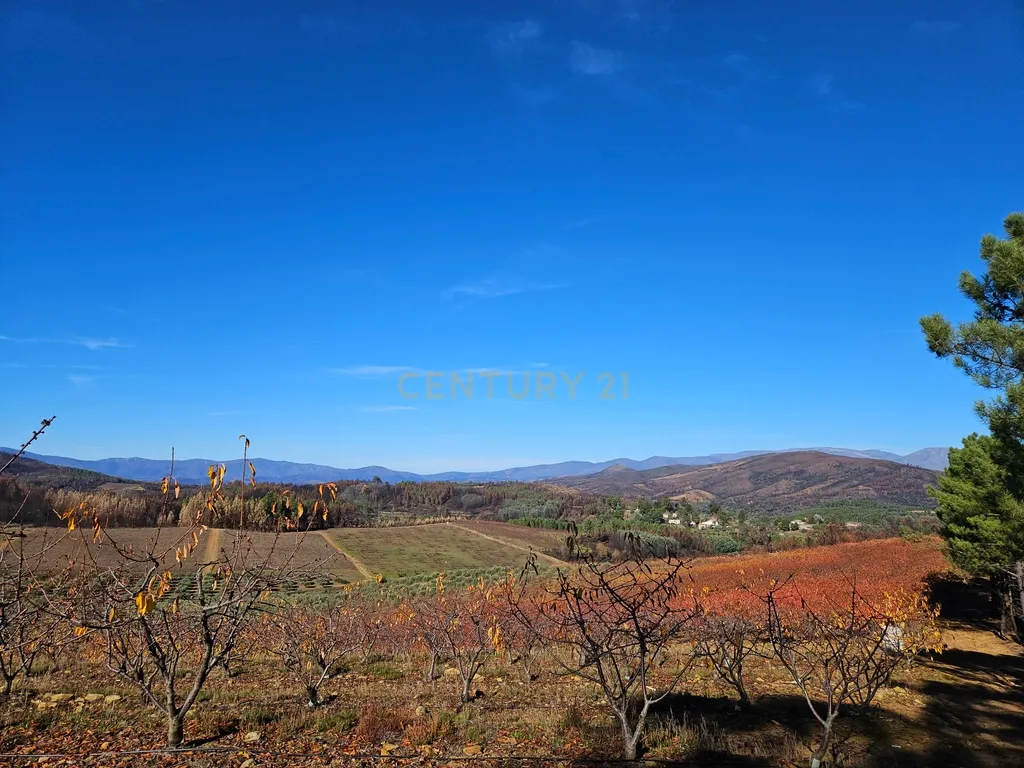Quinta de Excelência Agrícola na Região Premium do Fundão: 32 ha de Alta Produtividade - Image 1