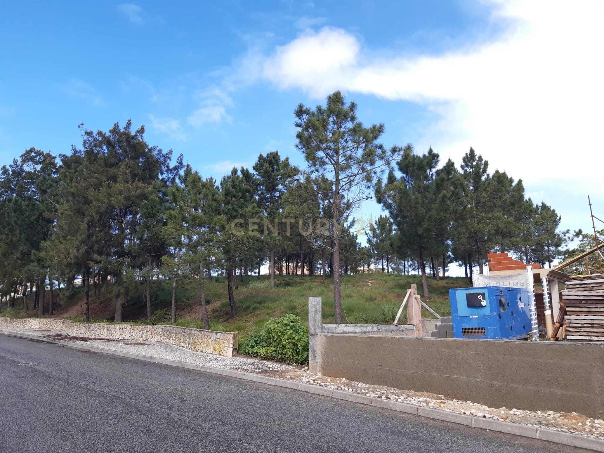 Moradia T3 com piscina e jardim em construção em Casa Nova na Ericeira - Image 7