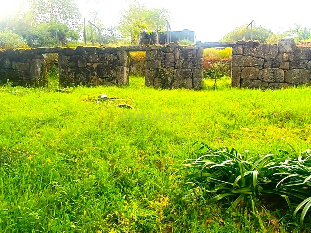 Belíssima ruína em terreno verdejante com vista deslumbrante para o Rio Douro, Baião, Porto - Image 3