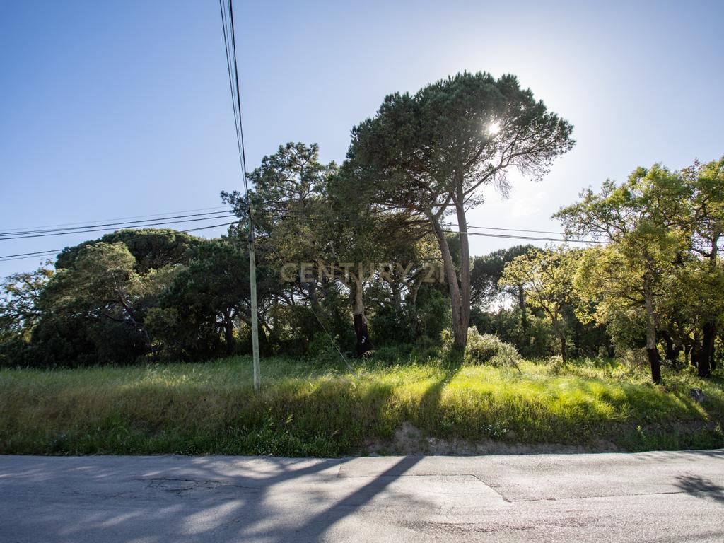 Terreno Urbano - Sesimbra - Projeto Aprovado - Image 8