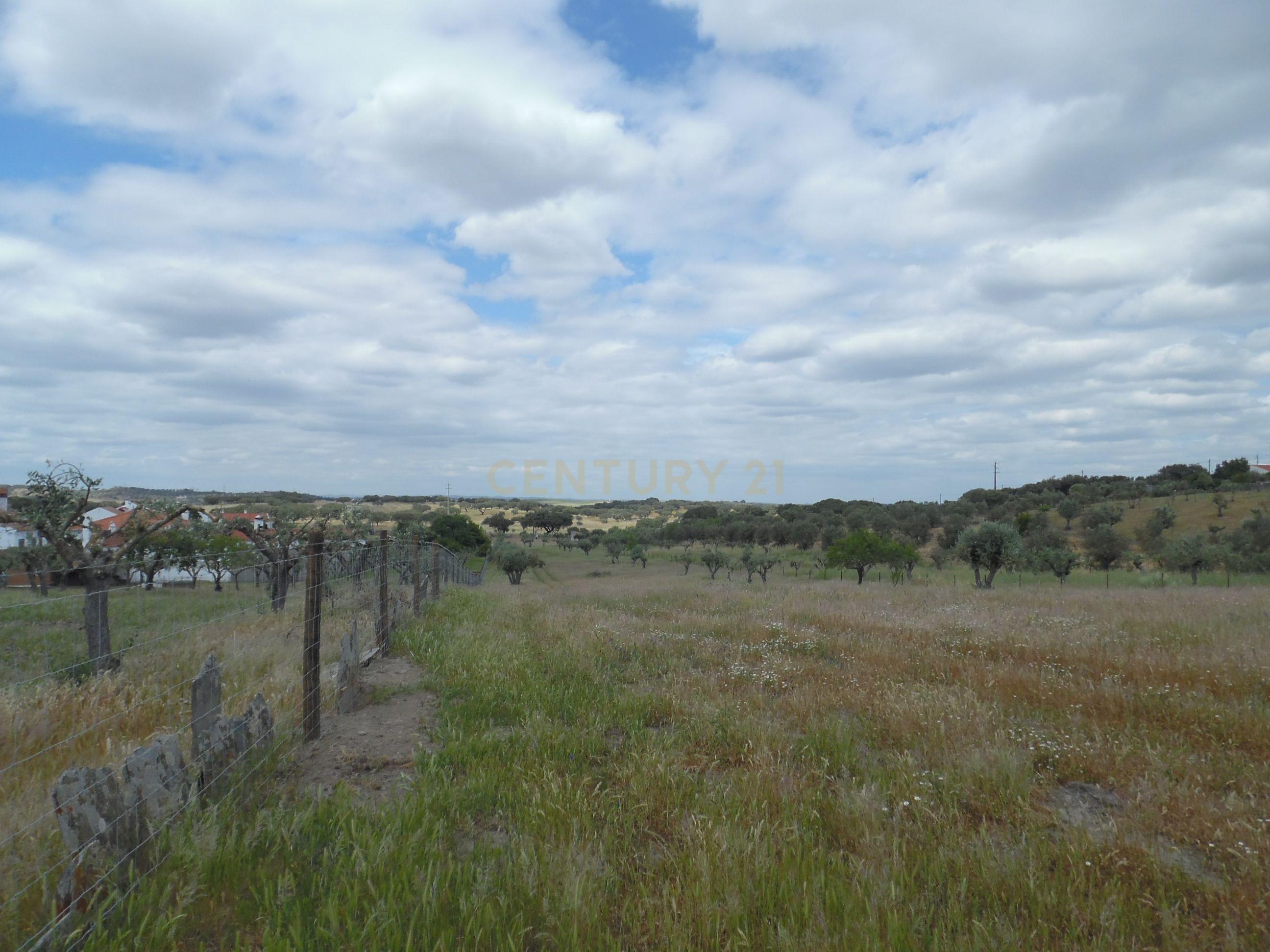 Moradia T3 à venda em Capelins (Santo António), Alandroal — foto 34
