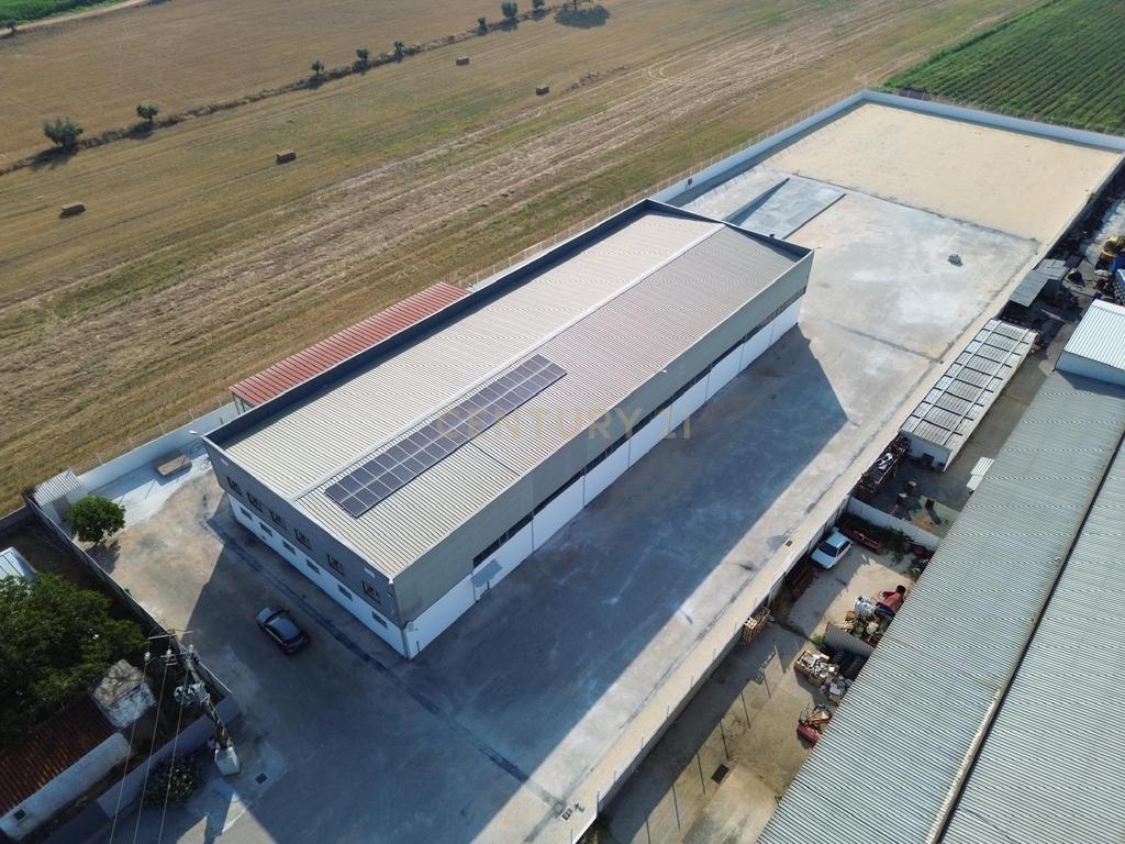 Armazém Industrial para Arrendamento – Riachos, Torres Novas - Image 36