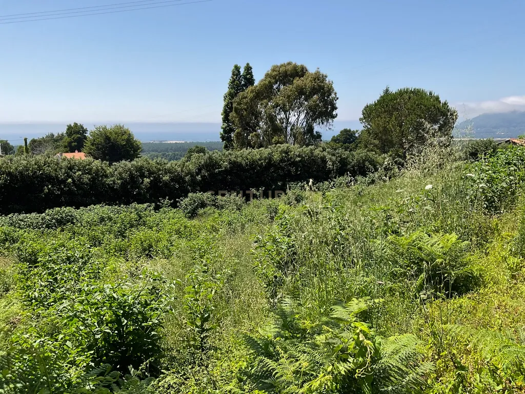 Deslumbrante Terreno com Vista Panorâmica em Cristelo, Caminha - Image 5