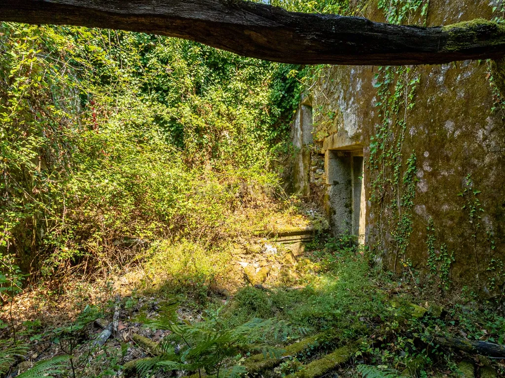 Quinta para reconstrução , em Anais, em Ponte de Lima – a vila mais antiga de Portugal. - Image 30