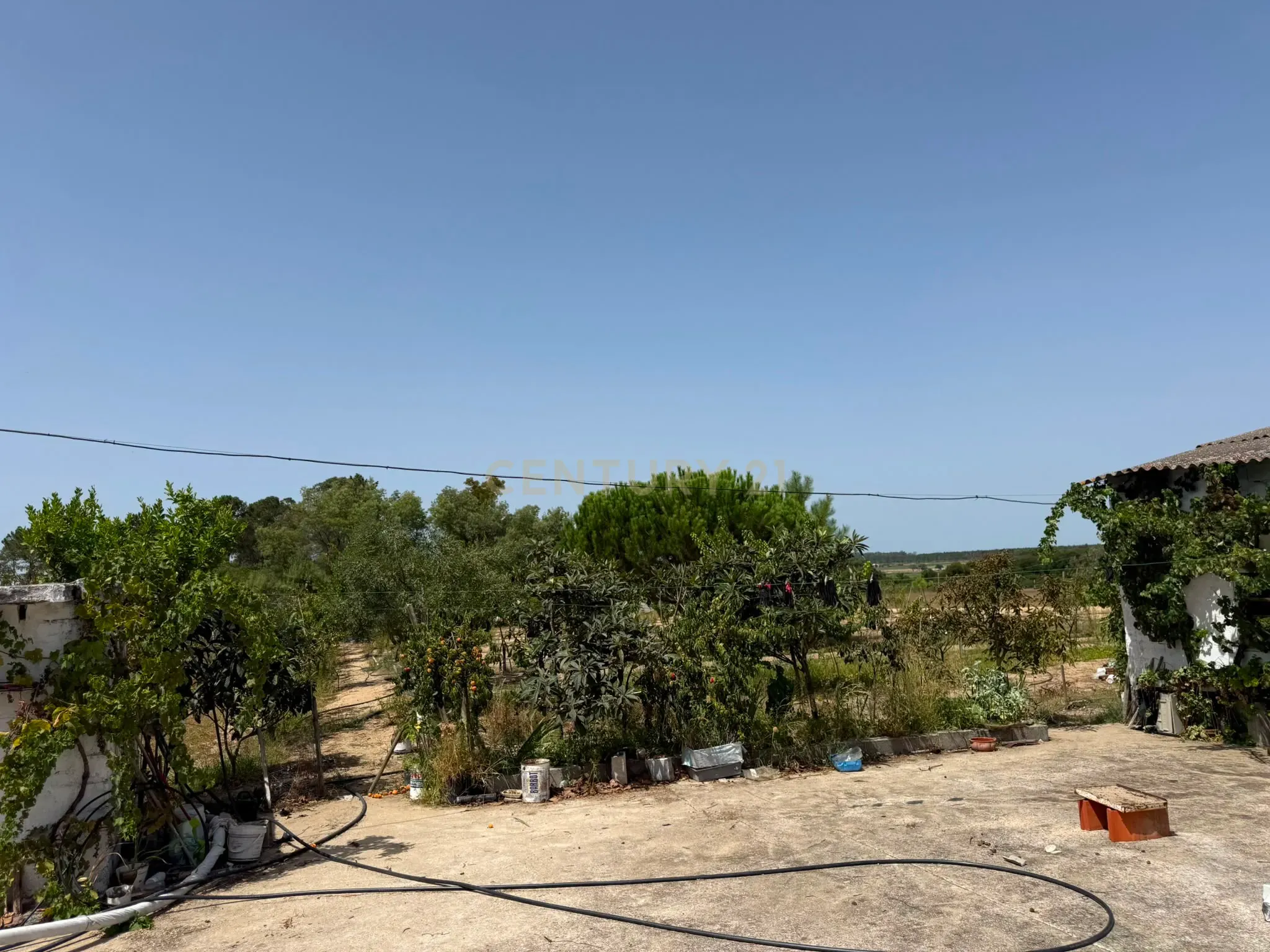 Fotografia 11 de Moradia com 5 QUARTOS. 283 M² DE CASA. 13.338 M² DE TERRENO
