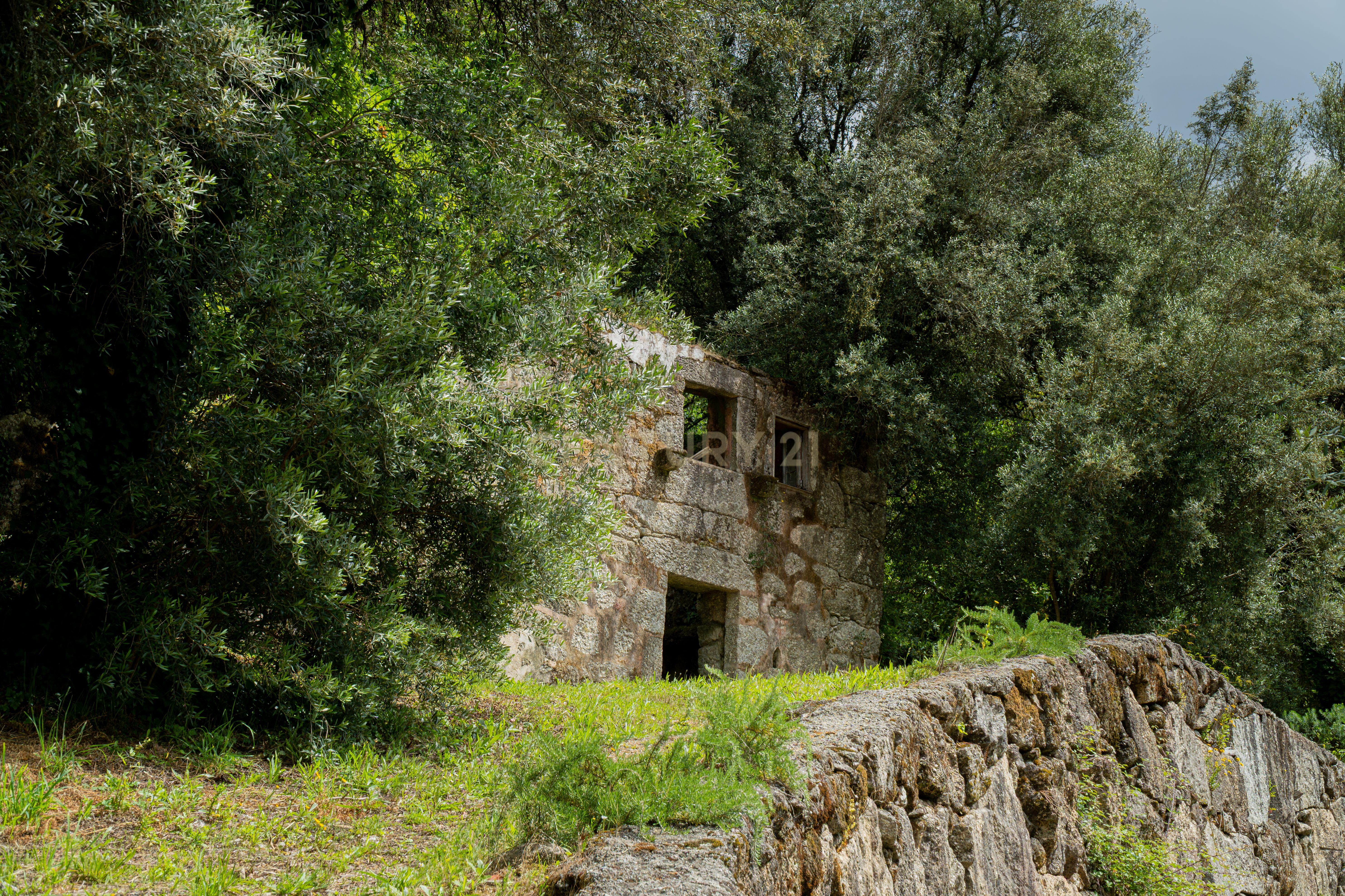 Fotografia 12 de Quinta dos Sonhos em Braga: 10 Hectares de História, Natureza e Potencial Turístico Inigualável