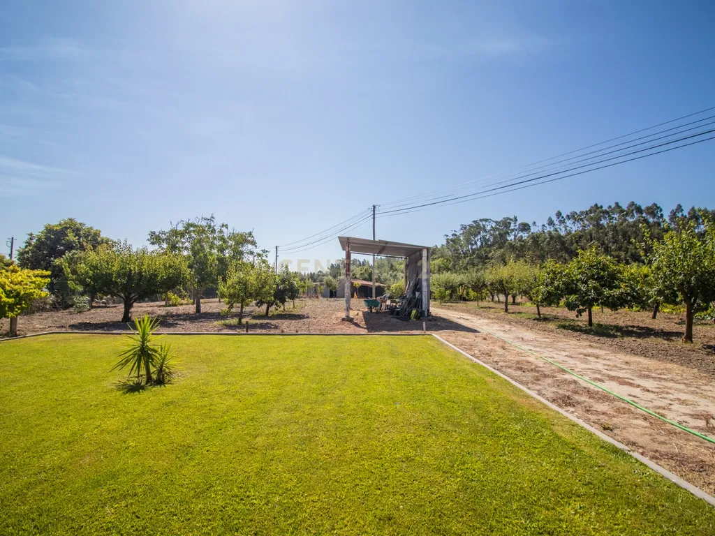 Casa antiga para recuperar com terreno e árvores de fruto, Alhadas, Figueira da Foz. - Image 32