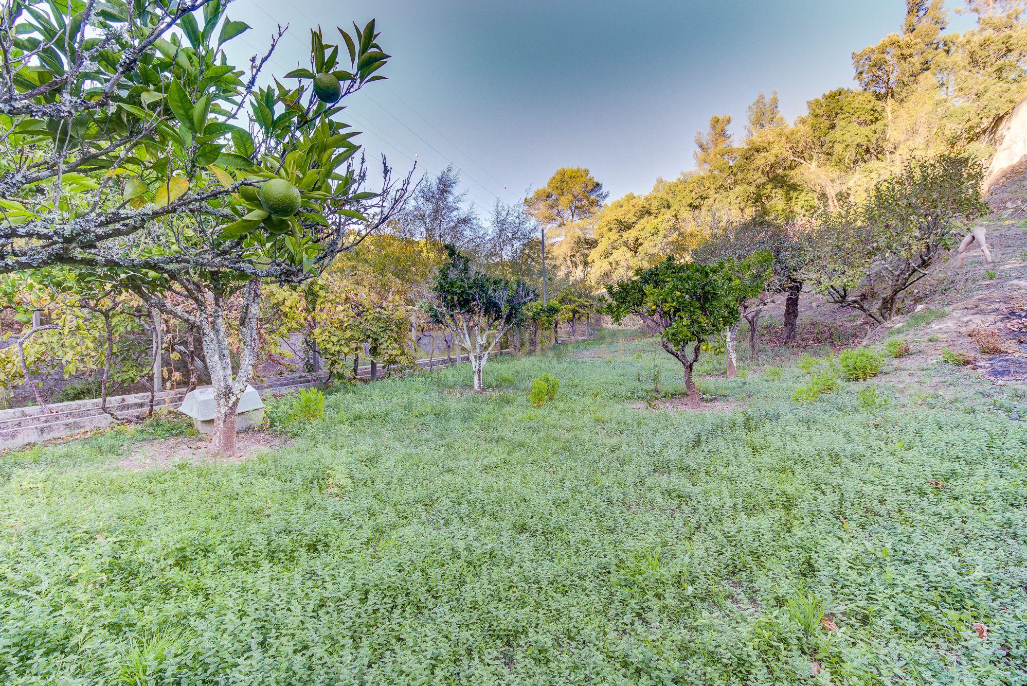 Quinta Rústica em Bucelas, com terreno de 4500m2 - Image 24