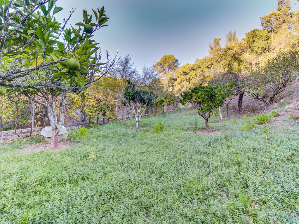 Quinta Rústica em Bucelas, com terreno de 4500m2  - Image 25