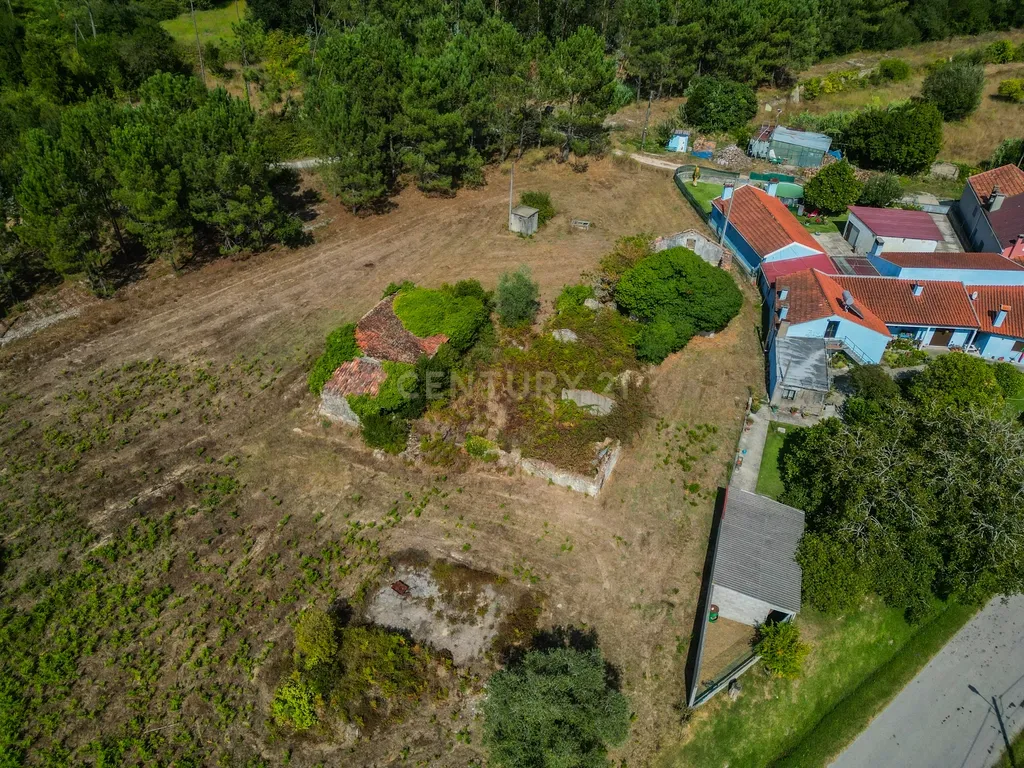 Propriedade com duas casas para reabilitar, terreno e poço na Costeira – Figueira da Foz - Image 14