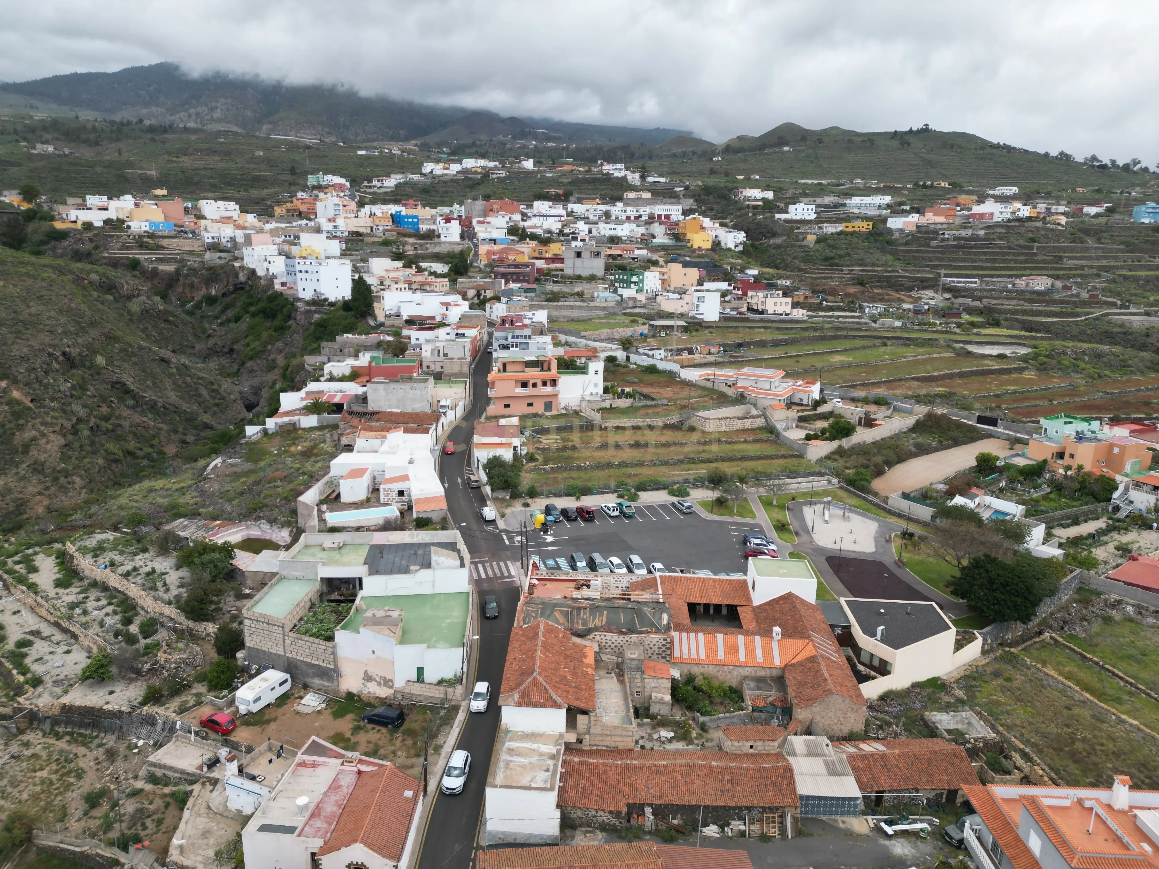 - Image 6