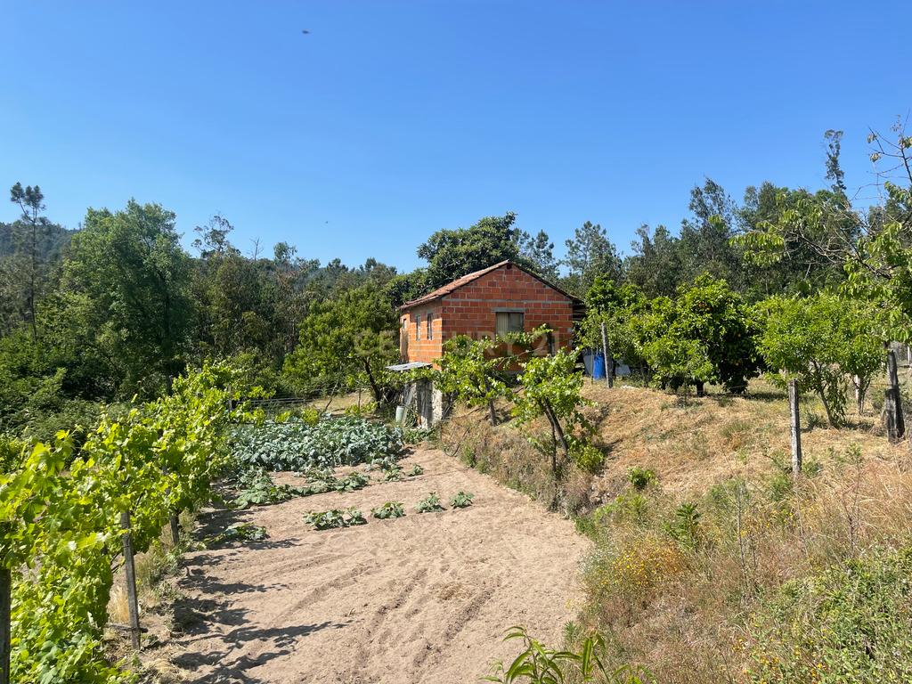 Terreno de 7.500 m² situado próximo ao lago, contendo uma casa a ser restaurada e um aviário automatizado altamente rentável. - Image 2