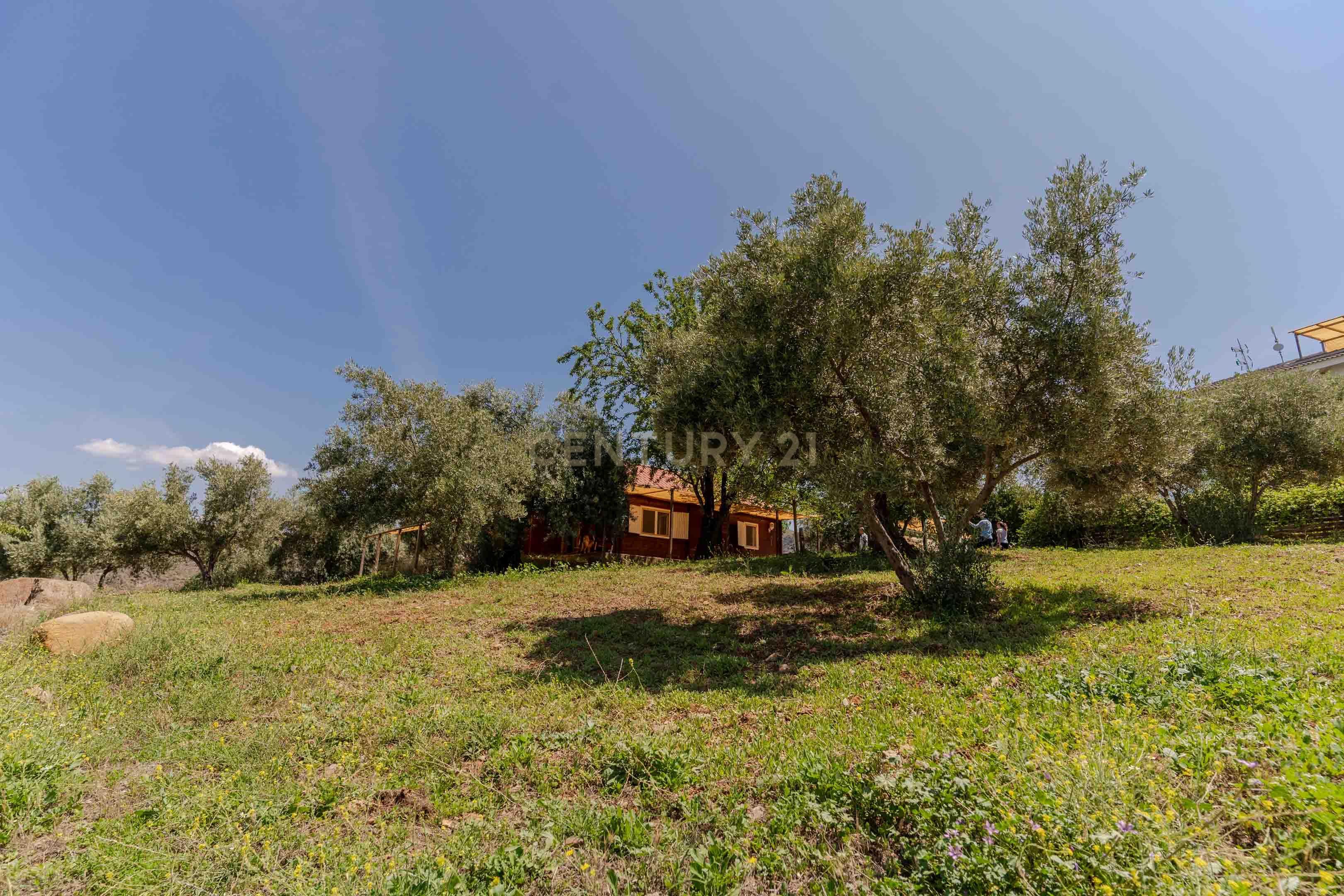undefined - Image 76