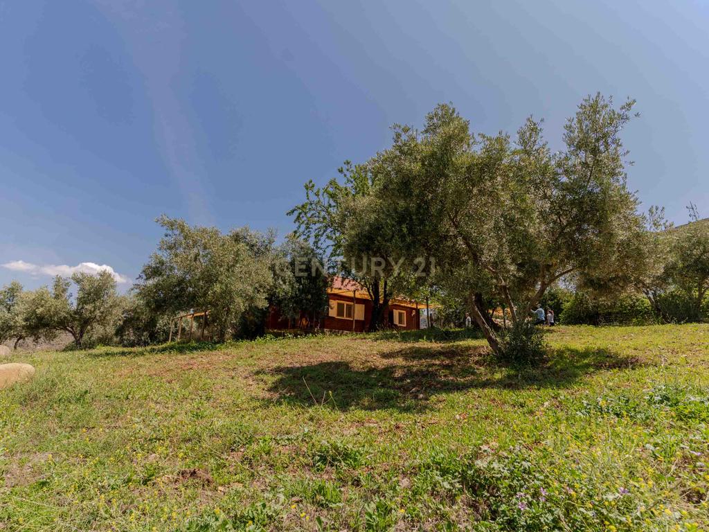 undefined - Image 76