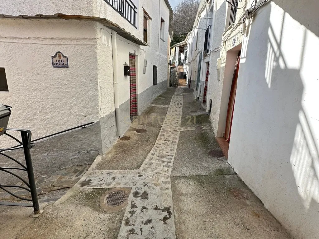 - Image 23