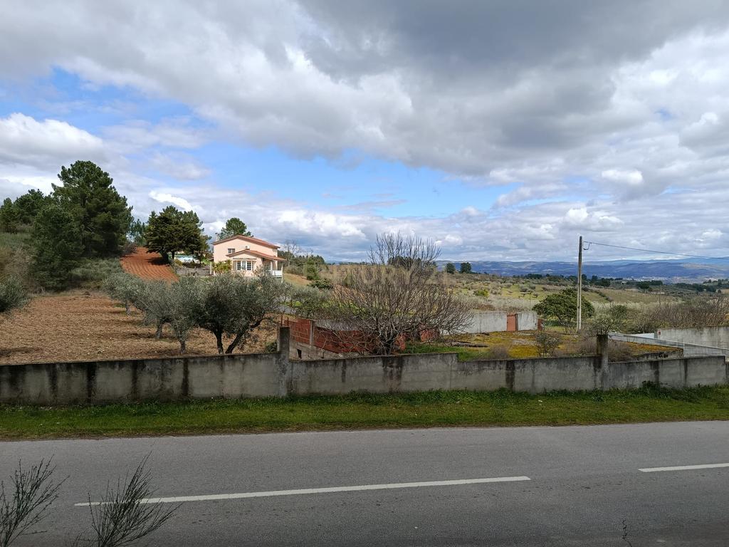 Terreno para Construção em Vale de Gouvinhas - Mirandela - Image 5