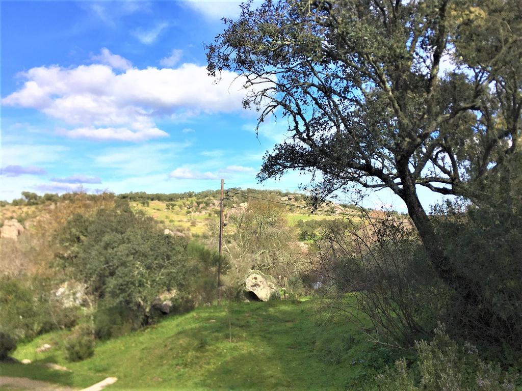 Quinta Típica Alentejana, Licença de Turismo Rural, Arrendamento, Arraiolos - Image 46