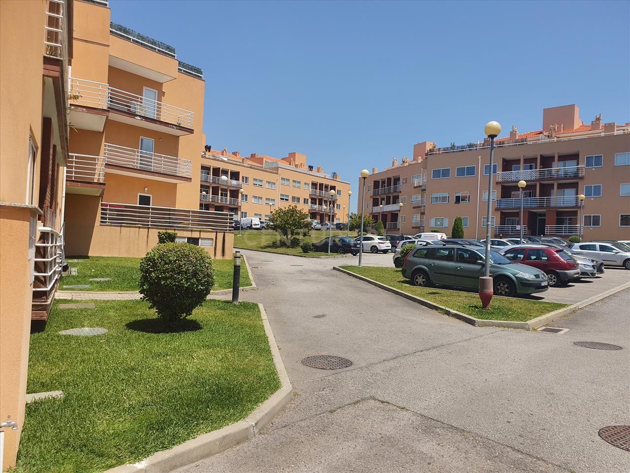 T3 em Canelas - Image 2