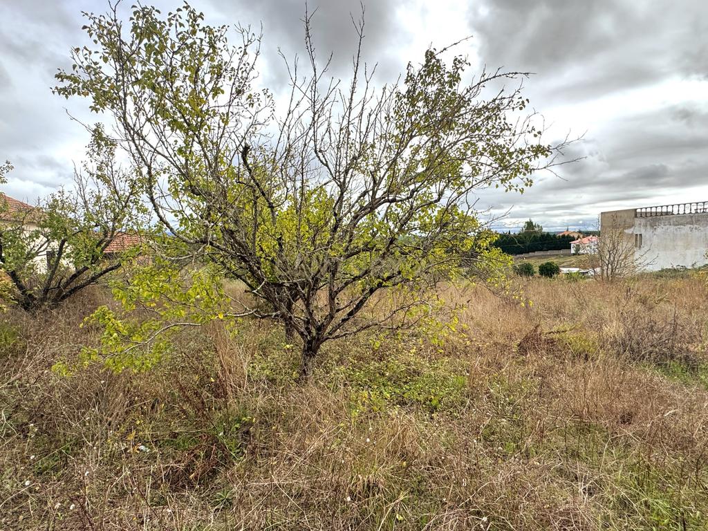 Terreno para Construção com 1300m² em Montes de Alcobaça – Vista Serra dos Candeeiros - Image 4