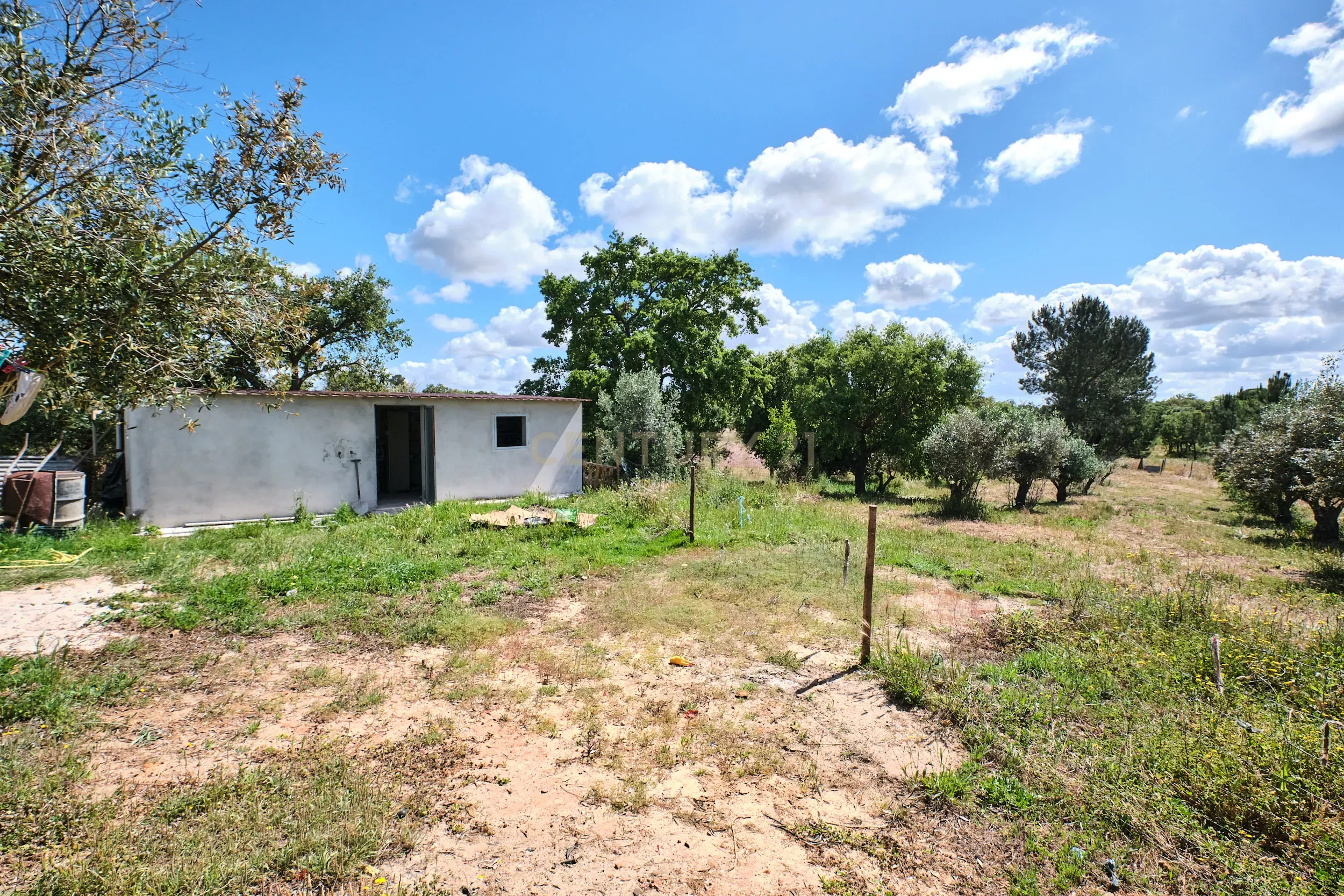 Viva o autêntico Alentejo – Seu refúgio em Ermidas do Sado - Cova do Gato espera por si - Image 12