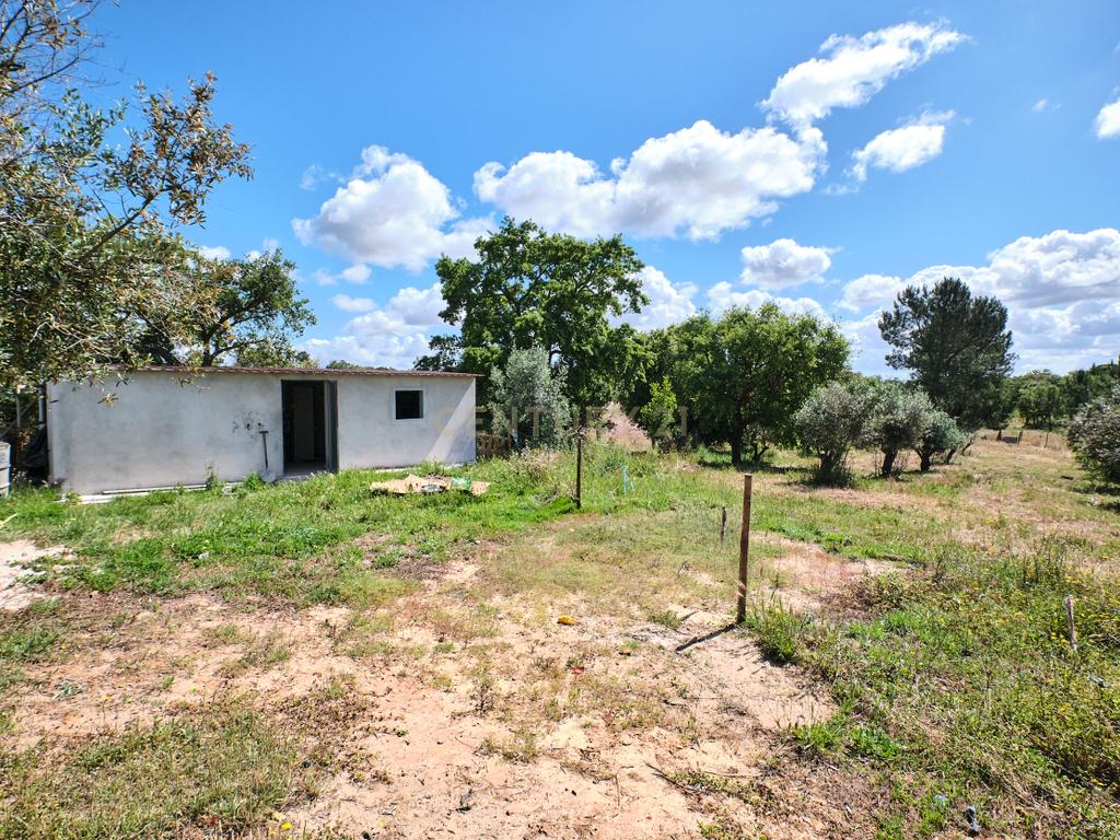 Viva o autêntico Alentejo – Seu refúgio em Ermidas do Sado - Cova do Gato espera por si - Image 12