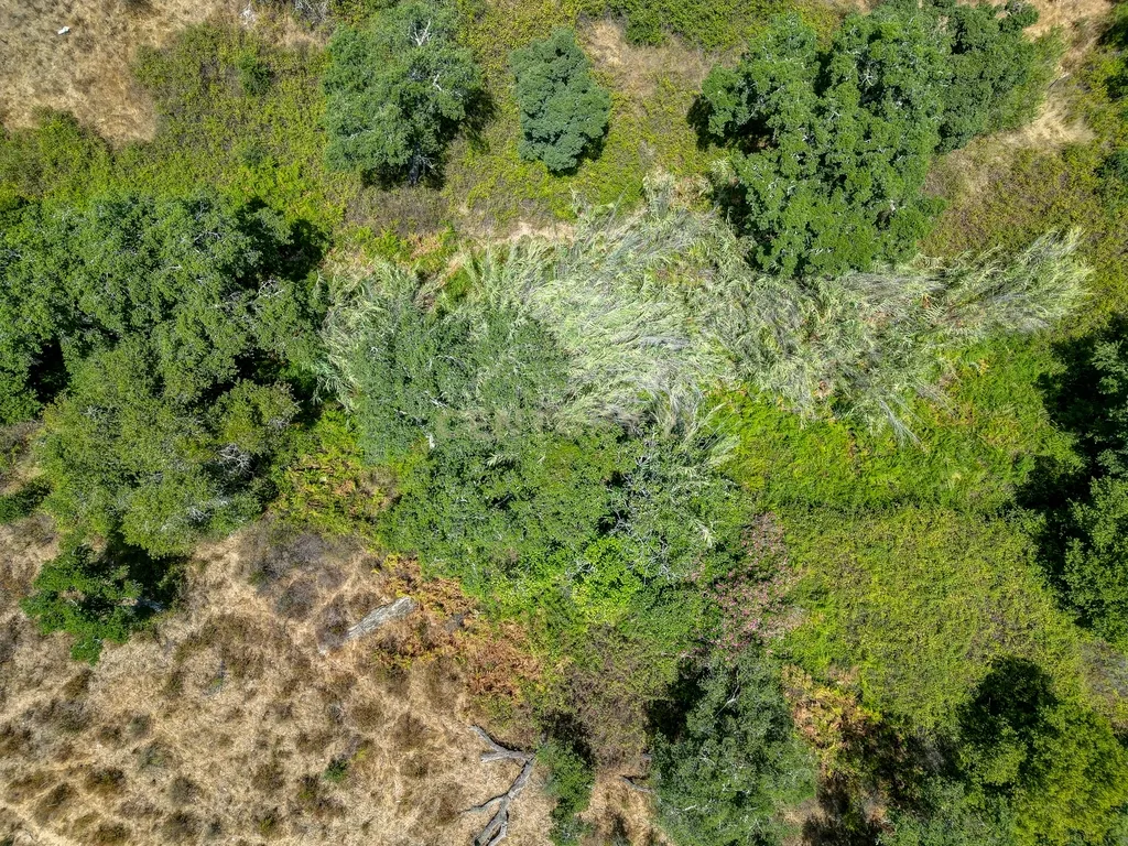 Herdade com 59,225 ha , 687m2 urbano, nascente de água, em Colos, Odemira - Image 32