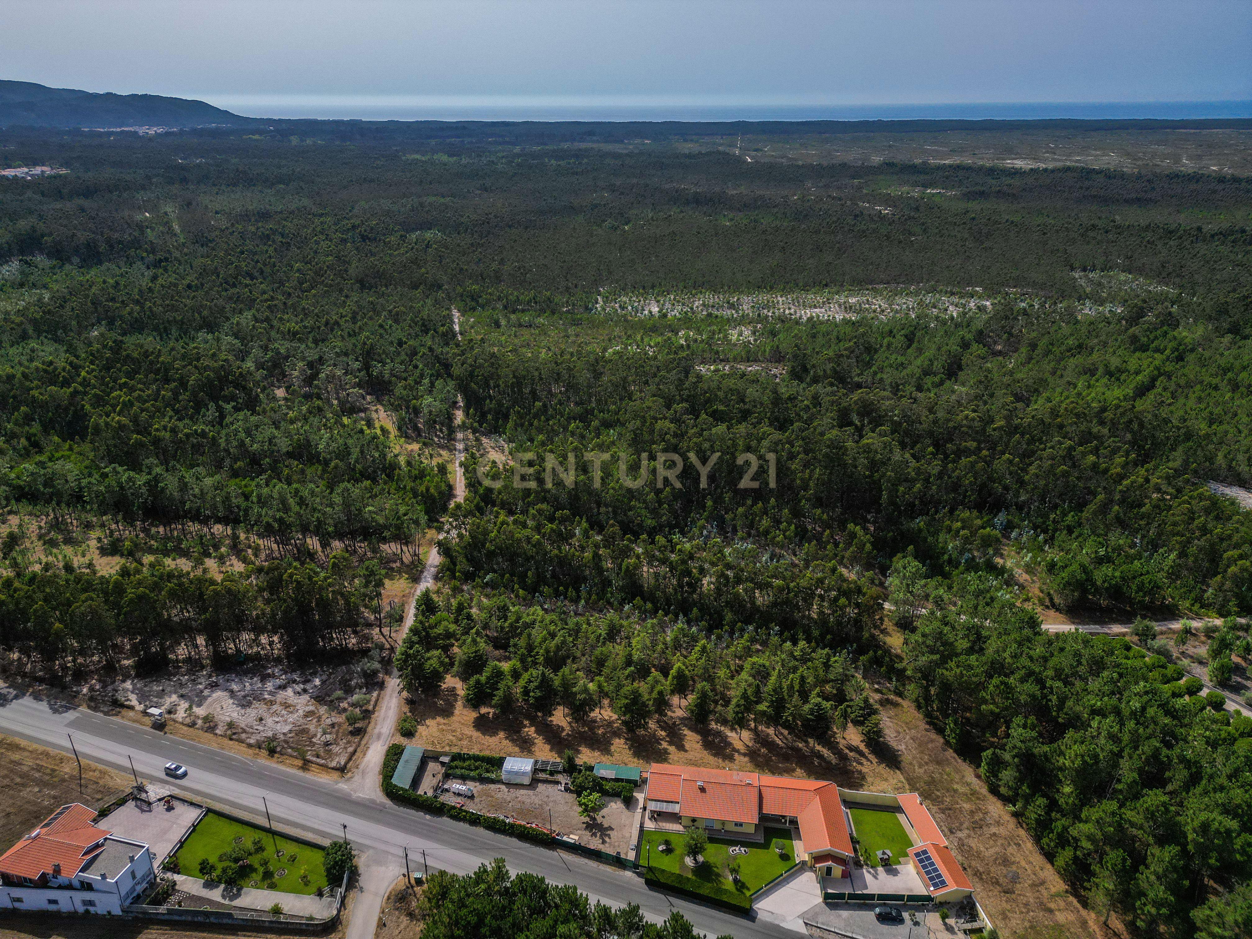 Fotografia 5 de Terreno com cerca de 3.300 m² em zona de pinhal, em Casal Novo, Quiaios – Figueira da Foz