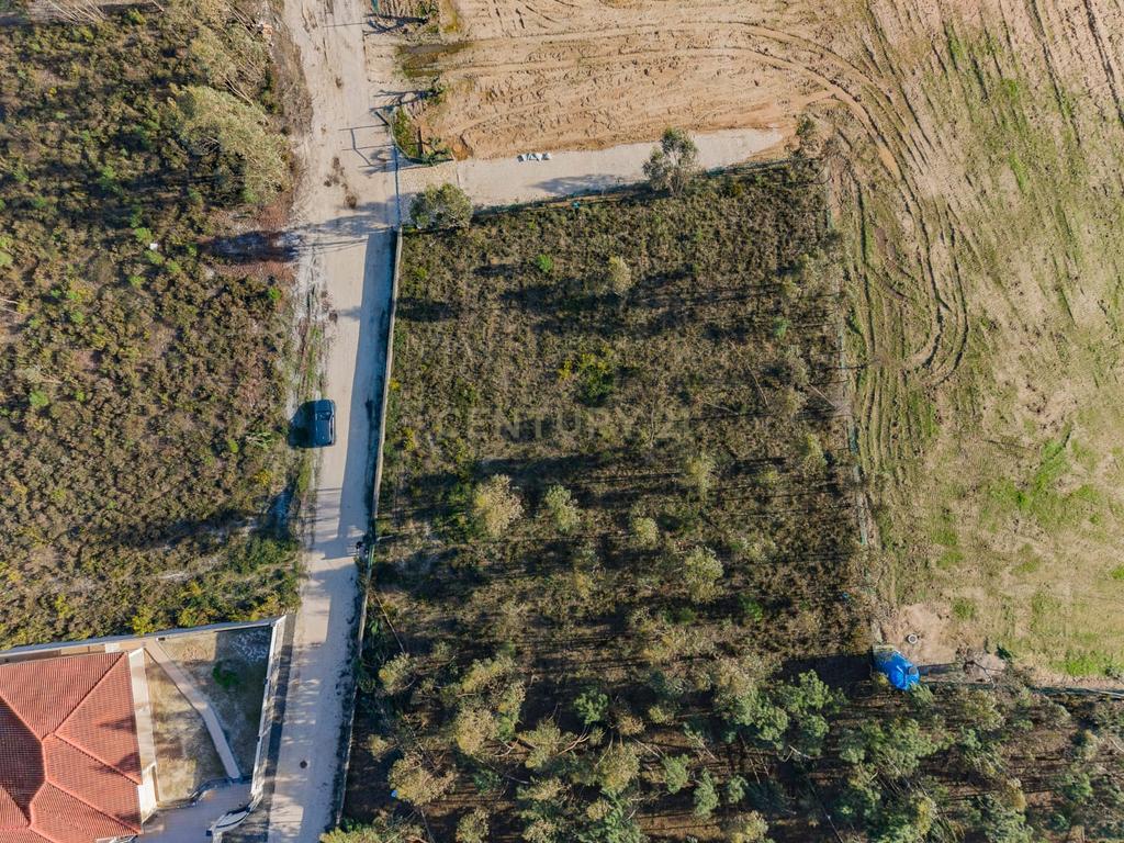 Terreno Rústico com Viabilidade de Construção — Barosa, Leiria - Image 9