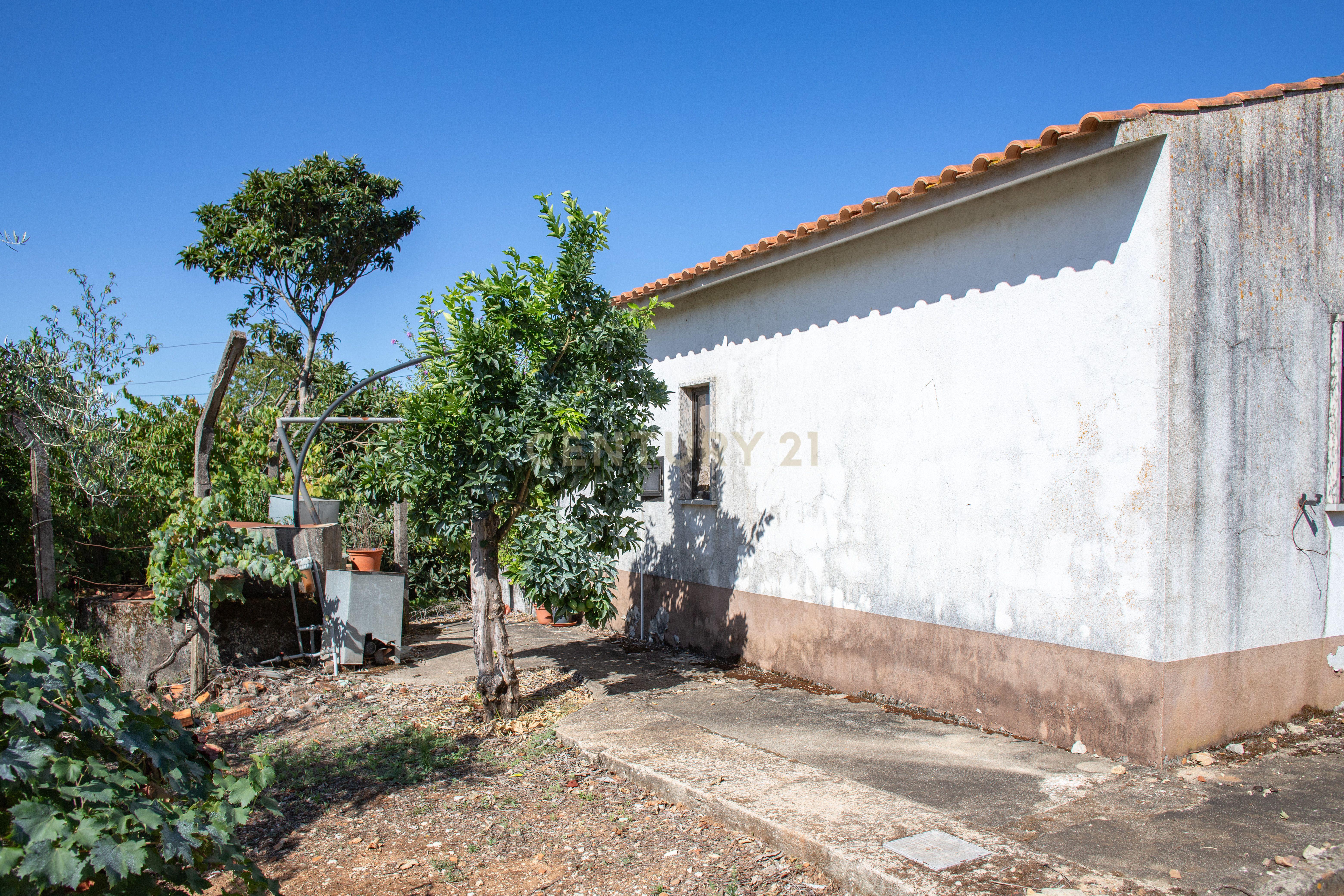 Moradia T5 à venda em Areias e Pias, Ferreira do Zêzere — foto 19